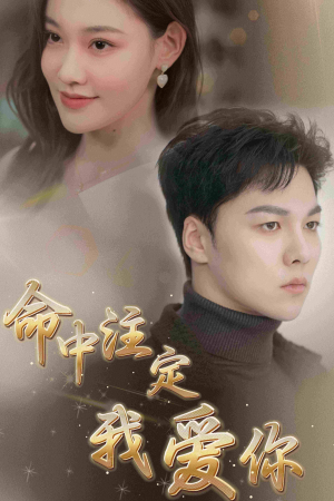 命中注定我爱你(75集) 命中注定我爱你(75集)丑小鸭变天鹅