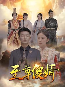 至尊傻婿（82集）什么时候更新