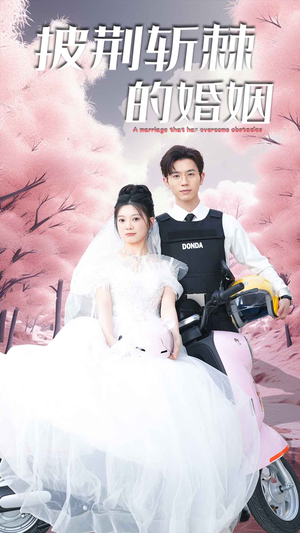 新版：披荆斩棘的婚姻（90集）网盘下载