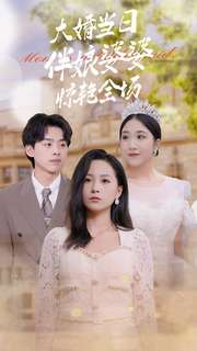 大婚当日伴娘婆婆惊艳全场（30集）爽剧