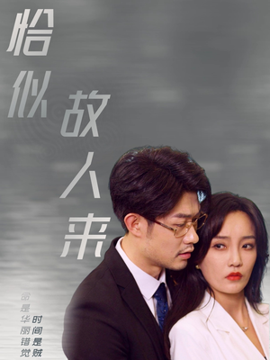 恰似故人来（79集）短剧新人
