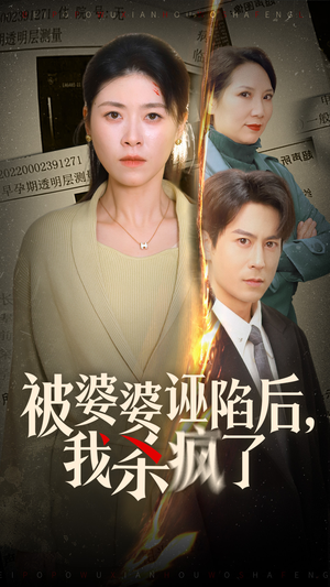 被婆婆诬陷后我杀疯了（30集）无片头片尾广告