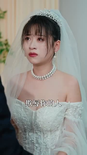 我送贤妻踏青云(41集) 我送贤妻踏青云(41集)最佳导演