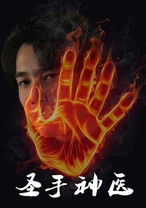 圣手神医(97集) 圣手神医(97集)1-300集全