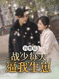 闪婚后战少每天逼我生崽(91集) 闪婚后战少每天逼我生崽(91集)有没有免费看全集的