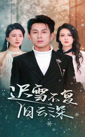 迟雪不复旧云深(45集) 迟雪不复旧云深(45集)太残暴