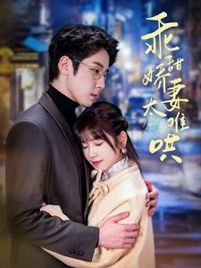 乖甜娇妻太难哄(100集) 乖甜娇妻太难哄(100集)魔法戏太魔幻