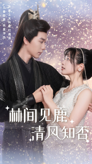 林间见鹿清风知否(62集) 林间见鹿清风知否(62集)宫斗短剧