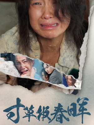 寸草报春晖（65集）一集多长时间