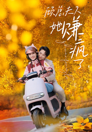 顾总夫人她赚疯了(80集) 顾总夫人她赚疯了(80集)全集完结