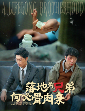 落地为兄弟,何必骨肉亲(60集) 落地为兄弟,何必骨肉亲(60集)太过瘾了