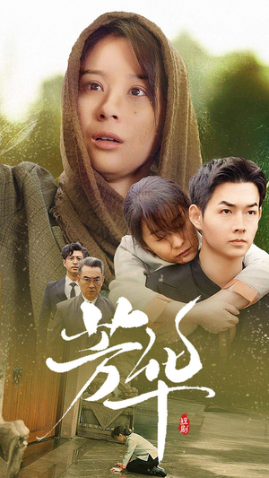 芳华(80集) 芳华(80集)无注水
