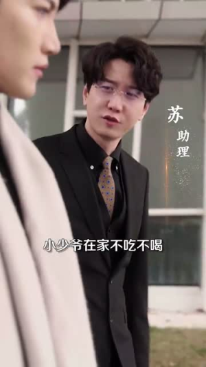 心火燎原&首席萌宝买一送一(80集) 心火燎原&首席萌宝买一送一(80集)4K画质