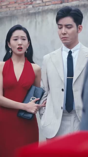 他的荣耀(合集) 他的荣耀(合集)谁演的