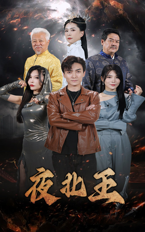 夜北王(76集) 夜北王(76集)单集神作