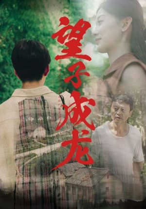 望子成龙(74集) 望子成龙(74集)完整版无广纯净观影体验