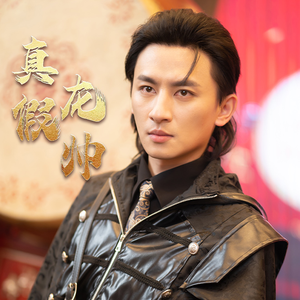 真假龙帅(81集) 真假龙帅(81集)太爽了