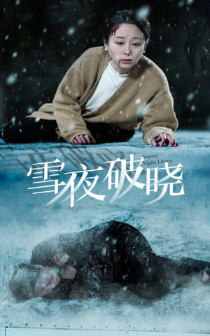 雪夜破晓(36集) 雪夜破晓(36集)看哭了
