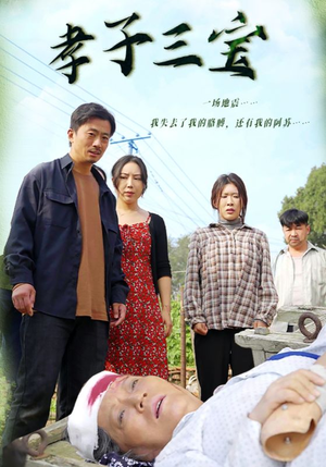 孝子三宝(50集) 孝子三宝(50集)假期追剧