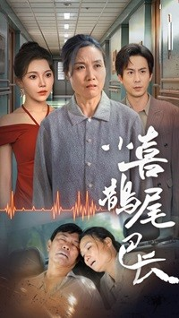 小喜鹊尾巴长(53集) 小喜鹊尾巴长(53集)高清完整版免费看
