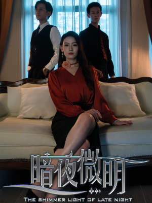 暗夜微明(70集) 暗夜微明(70集)剧情分集介绍