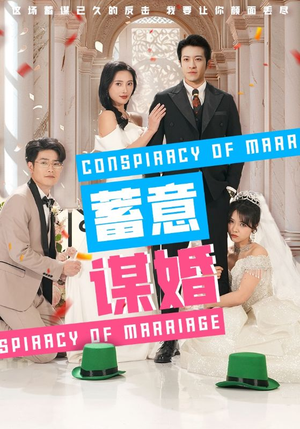 蓄意谋婚(30集) 蓄意谋婚(30集)日久生情
