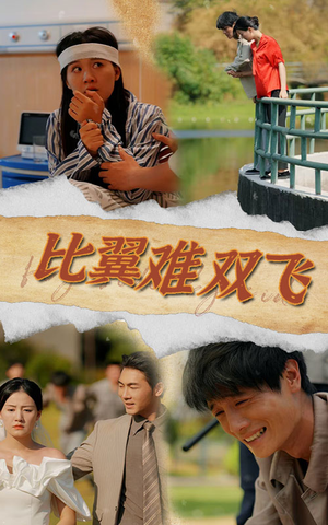 比翼难双飞(30集) 比翼难双飞(30集)小程序短剧
