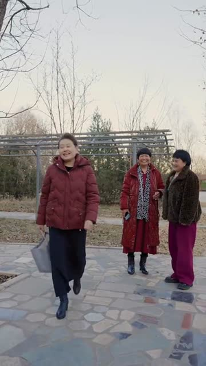 语言大师这个家没我得散(53集) 语言大师这个家没我得散(53集)赛博戏太朋克