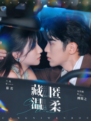 藏匿温柔（99集）熬夜也要看的甜剧