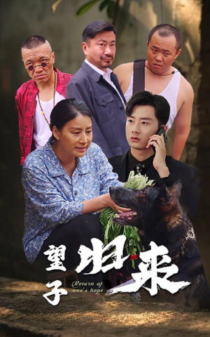 望子归来(50集) 望子归来(50集)结局大反转