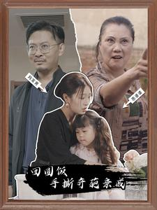 团圆饭手撕奇葩亲戚（40集）无断更