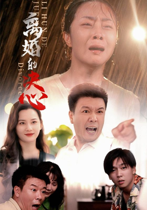 离婚的决心（48集）1080P