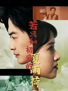 若只如初见的夏雨荷（90集）高清版