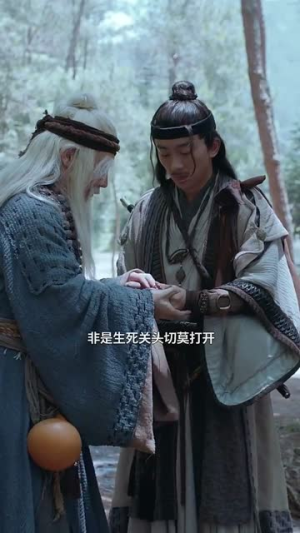 逍遥神探(100集) 逍遥神探(100集)婆媳短剧