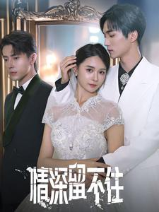 情深留不住(80集) 情深留不住(80集)短剧合集