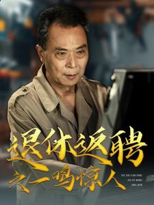 退休返聘之一鸣惊人（65集）反转再反转