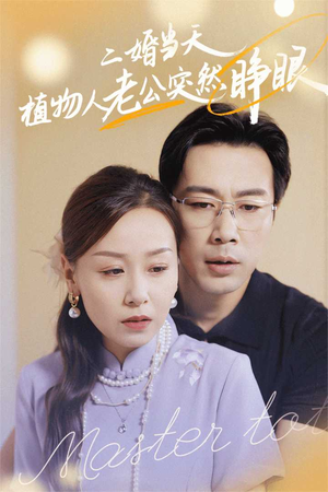 二婚当天植物人老公突然睁眼(40集) 二婚当天植物人老公突然睁眼(40集)连载短剧