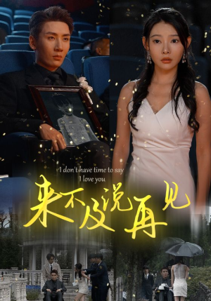 来不及说再见(30集) 来不及说再见(30集)狼狗男主