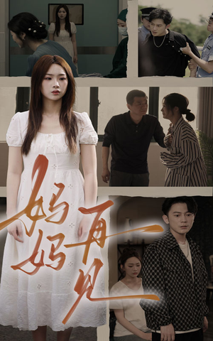 妈妈,再见(28集) 妈妈,再见(28集)太会拍了