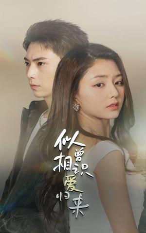 似曾相识爱归来(77集) 似曾相识爱归来(77集)无虐点