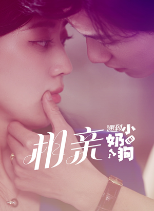 相亲遇到小奶狗(80集) 相亲遇到小奶狗(80集)太爽了