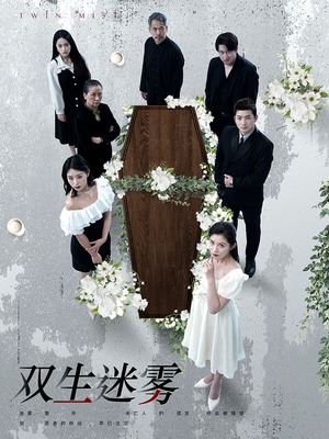双生迷雾(80集) 双生迷雾(80集)第二季