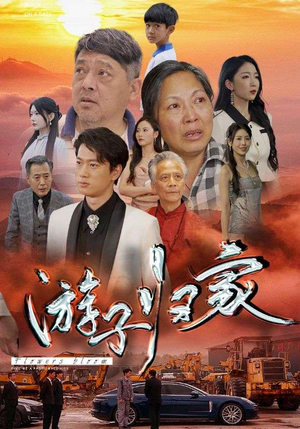 游子归家(88集) 游子归家(88集)一口气刷80集停不下来